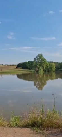 The video shows a calm lake with a reflection of trees on the water. The sky is blue with some white clouds. The foreground shows tall grass and some plants.