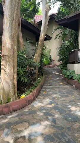 A stone pathway curves through a lush green environment, lined with trees and various plants. On the right side of the pathway, a building with a wooden railing on a balcony is visible. A pink inflatable object is situated on the balcony. The pathway is scattered with fallen yellow leaves. The scene appears to be outdoors, possibly in a tropical or garden setting.