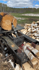Rural wood splitting operation processes birch logs with chickens