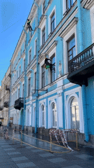 Morning life scenes captured across Saint Petersburg's historic center