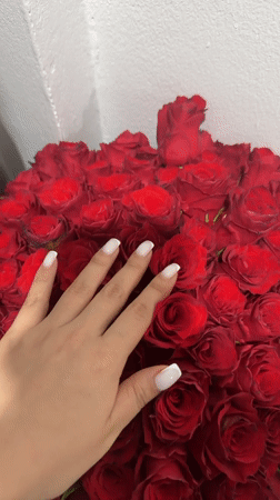 Domestic moments with roses, dog, beetle observed in Kathu