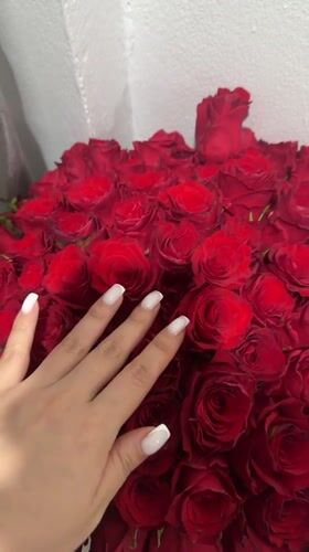 Domestic moments with roses, dog, beetle observed in Kathu