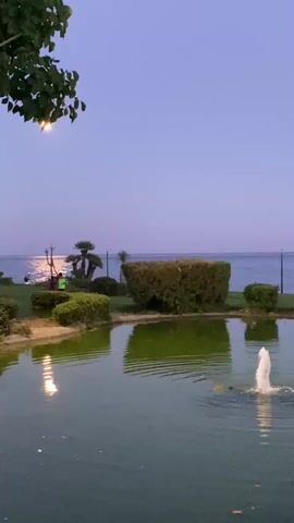 The video shows a serene scene of a pond with a fountain in the foreground, reflecting the twilight sky and surrounding greenery. In the background, a calm sea stretches to the horizon, with a person walking along the shore. The overall atmosphere is peaceful and tranquil.