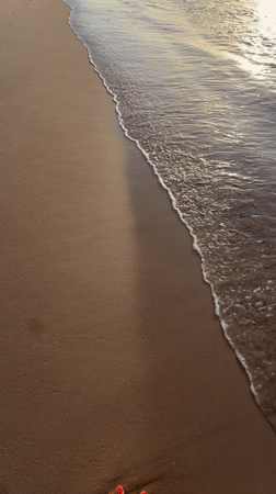 Quiet morning on El Campello beach with seagulls and calm surf
