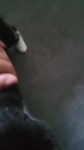 A hand swipes white cat hair off of a black surface. The camera follows a black and white cat as it walks away. The cat is mostly black, with a white chest and white paws. It sits, looking down.