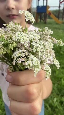 A young girl with blonde hair tied in a ponytail, wearing a pink t-shirt and blue pants, stands outdoors on a grassy area. In her right hand, she holds a bouquet of small white flowers. In her left hand, she brings a small red object, possibly a berry, to her mouth. Behind her, a colorful playground structure is visible. The video is a close-up shot focusing on the girl and the flowers, with the background slightly blurred.