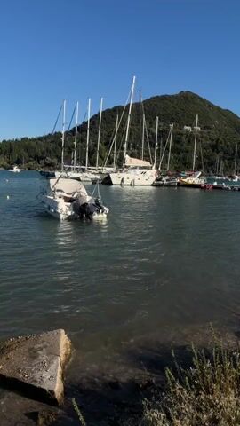 The video pans across a harbor filled with various boats. In the foreground, there is a small white motorboat with an outboard motor. Behind it, several sailboats are docked, their masts reaching towards the clear blue sky. The harbor is situated near a lush green, tree-covered hill. The water appears calm, with a gentle ripple. Sunlight illuminates the scene, casting a warm glow on the boats and the surrounding landscape. The video captures a serene and picturesque coastal setting.