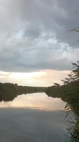 A slow pan upwards reveals a serene river flowing through a landscape of reeds and vegetation. The sky is overcast with dramatic clouds, but a sliver of warm light breaks through the horizon, reflecting beautifully on the calm water. The scene evokes a sense of tranquility and natural beauty.