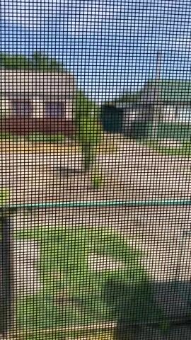 This is a first-person perspective video of a person looking through a window screen. The video focuses on a backyard scene with houses in the background. The screen itself is a prominent feature, creating a grid-like overlay on the image. The backyard appears to have grass and a pathway or driveway. The sky is visible, appearing blue with some clouds. The houses in the background are blurry due to the screen and distance, but they appear to be residential homes. The lighting suggests it is daytime.