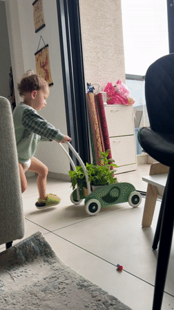 Toddler plays with plant-filled toy wheelbarrow in Kiryat Bialik