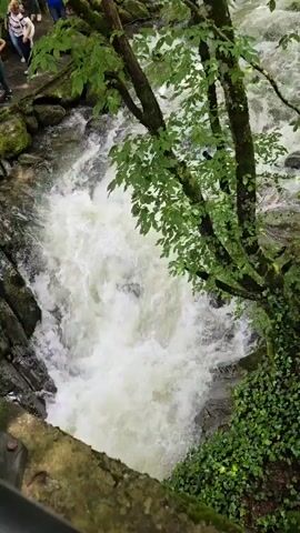 An elevated video shows a powerful, turbulent river with white, foamy water rushing between dark, moss-covered rock formations. Lush green foliage, including tree branches with green leaves, overhangs the water on the right side of the frame. In the upper left background, several individuals are partially visible on what appears to be an observation path. The camera performs a slow zoom-in on the churning water, then zooms back out, maintaining an overhead perspective of the scene.