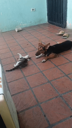 A quiet evening at home and on the streets of Juan Griego