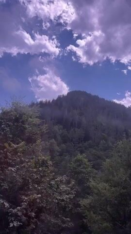 The video begins with a wide shot of a misty, forested mountain under a cloudy sky. The camera then pans down and moves through dense trees, showing sunlight filtering through the leaves. The perspective appears to be from a moving vehicle, possibly a car, as indicated by the slight shakiness of the footage and the glimpses of the sky through foliage. There are no people or specific objects clearly visible beyond the natural environment of trees, mountains, and sky. The lighting suggests it is daytime, with some areas appearing shadowed and others illuminated by sunlight. The overall impression is a journey through a natural, wooded landscape.