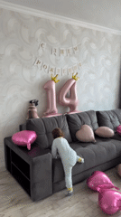 Early morning 14th birthday party celebrated in Sochi apartment