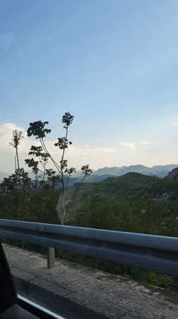 Driver records scenic mountain journey in Montenegro