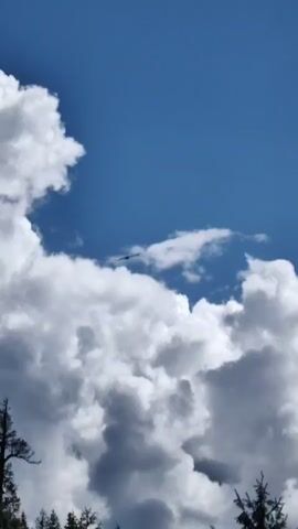 This is a vertical video of a bright blue sky with large, fluffy white clouds. There are trees along the bottom edge of the frame, silhouetted against the sky. Two birds are flying in the sky, appearing as small dark shapes. The camera seems to be angled upwards.