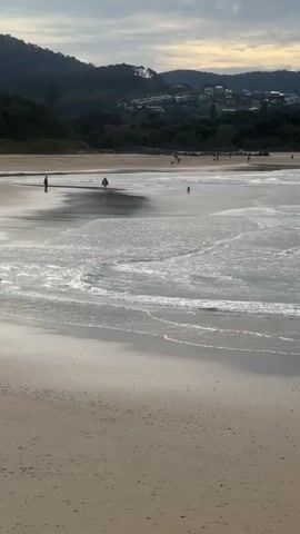 A wide shot shows a beach with calm waves rolling onto the sand. In the foreground, the wet sand reflects the overcast sky. In the midground, several people walk along the shoreline, some are silhouetted against the water. A dog runs near the water's edge. In the background, a line of trees separates the beach from a hill covered in houses. The sky is cloudy with hints of sunlight breaking through.