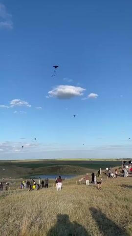 A wide shot captures an outdoor event on a sunny day with a blue sky dotted with white clouds. A large gathering of people is spread across a grassy, undulating hillside overlooking a body of water. Many people are standing and observing, while others are seated on the ground. Several kites of various colors and designs are visible flying high in the sky. The landscape appears to be a natural, rural setting with rolling hills in the background.