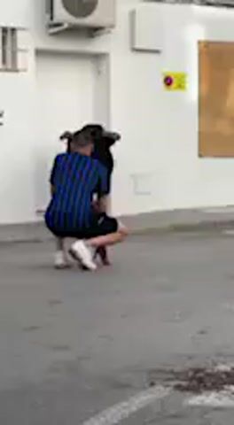 The video, set in Vejer de la Frontera, Spain, shows a bull running event on a paved street flanked by white buildings. In the foreground, a person in a grey shirt is partially visible on the left. The main subject is a man wearing a blue and black striped shirt, black shorts, and white sneakers.

Initially, from 0:00 to 0:05, the man is crouched down on the street, facing away from the camera. A black bull is partially visible behind him. The background features a white building with an air conditioning unit and a yellow sign.

From 0:05, the man quickly stands up, extending his arms. He holds a small, yellow object (possibly a cape or cloth) in his right hand. He turns towards the black bull, appearing to provoke it. The bull charges forward, and the man deftly dodges to his right. The bull then runs past him and continues down the street, disappearing into the distance by 0:10. The man watches the bull as it moves away.

The audio features a Spanish voice issuing warnings, including "peligro" (danger) and "por favor no bajéis de las gradas" (please do not come down from the stands), indicating a public safety announcement typically heard during such events. The overall impression is of a traditional Spanish bull running or bullfighting spectacle taking place during the daytime.