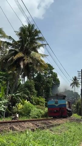 A blue, red, and yellow diesel locomotive with the number 750 visible on its front passes through a lush, green environment with palm trees and other foliage. The train is on a track and a railway crossing signal with a red light is visible. There is some smoke coming from the train. The sky is partly cloudy.
