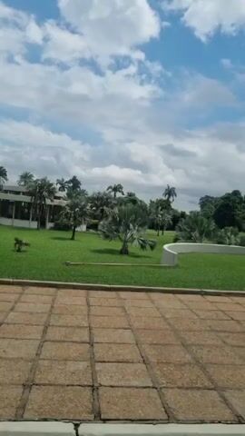 The video captures a scenic view of a well-maintained outdoor space in Onibudo, Nigeria. The foreground is dominated by a pathway paved with large, square, light-brown tiles, exhibiting a slightly weathered texture. Beyond the path, a vibrant green lawn stretches out, forming a gentle curve with a white, low-lying wall delineating its edge.

The middle ground is a lush display of tropical vegetation, featuring numerous palm trees of varying heights and species. Some palms have a feathery frond appearance, while others are more fan-shaped. These are interspersed with dense green foliage, creating a rich, layered effect. In the background, glimpses of white buildings with modern architectural lines are visible, suggesting residential or institutional structures within a larger complex.

The sky above is a dynamic canvas of blue, punctuated by fluffy white clouds that are beginning to accumulate, hinting at fair but possibly changing weather conditions. The lighting suggests it is daytime, likely late morning or early afternoon, with diffused sunlight filtering through the clouds, casting soft shadows. There are no people or animals visible in the frame. The overall impression is one of tranquility and natural beauty, with a touch of man-made order in the landscaping and architecture. The scene evokes a sense of peace and a pleasant outdoor environment. No text is visible in the media file.