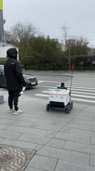 Moscow street scenes feature delivery robot, pigeon, urban buildings