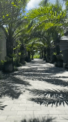 Palm-lined stone pathway leads to rice fields in Sukawati