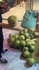 Man prepares fresh coconuts indoors in Nha Trang Vietnam