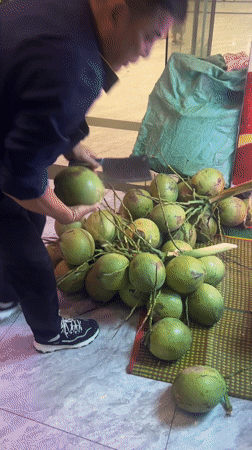 Man prepares fresh coconuts indoors in Nha Trang Vietnam