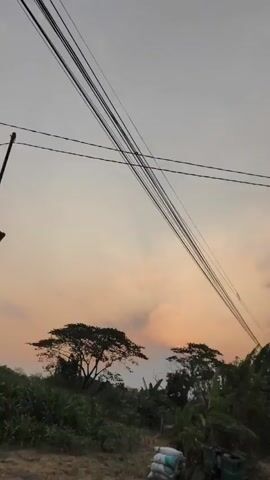The video shows a rural road at dusk. Overhead power lines stretch across the sky. A single tree stands on the left side of the road, and dense foliage lines the right side. A small bridge with red and white railings is visible on the right. The road appears to be paved and has a white line marking its center. The sky is a pale orange, suggesting the sun is setting.