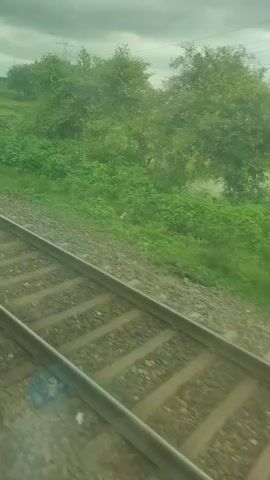 The video captures a view from a moving train. Train tracks are prominently in the foreground, running diagonally from the bottom left to the top right. Beyond the tracks, there is a rural landscape with lush green vegetation, including bushes and trees. In the background, there are fields, possibly rice paddies, with water reflecting the overcast sky. A tall electricity pylon can be seen in the distance. The sky is cloudy, suggesting a possibly rainy or stormy day. There are no people visible in the video. The scene appears to be of a natural, undeveloped area observed from a mode of transportation.