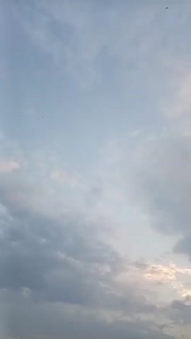 A vertical, real-time video displays a cloudy sky at dusk. The clouds are a mix of gray and white, with streaks of pale orange and yellow light visible in the lower portion of the sky, suggesting the presence of a setting sun. The scene is dark and silhouetted, with faint outlines of trees and structures visible at the bottom edge of the frame. Small, dark specks, possibly birds or insects, are scattered throughout the sky.