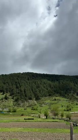 The video presents a landscape scene featuring a lush, green hillside with a dense forest at its peak. Below the forest line, the hillside is dotted with small trees and bushes, leading down to an agricultural field that is segmented into plots, some appearing freshly plowed. A simple fence runs along the lower edge of the field, adding a sense of enclosure. Above, the sky is dominated by heavy, dark grey clouds, suggesting an overcast day or impending rain. The scene is devoid of people or animals, focusing solely on the natural and cultivated elements of the landscape.