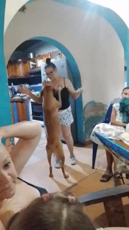 Witness documents routine neighborhood scenes in Altagracia, Venezuela