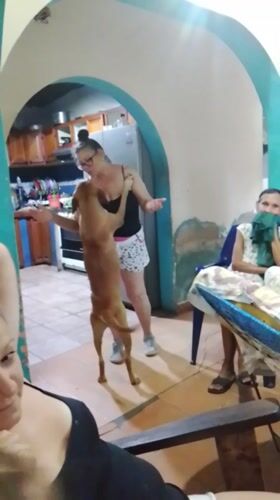 Witness documents routine neighborhood scenes in Altagracia, Venezuela