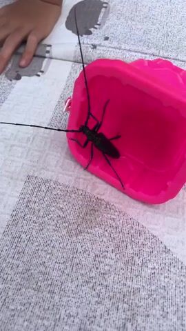 The video shows a close-up, high-angle shot of a black longhorn beetle with extremely long antennae positioned on the edge of a bright pink toy bucket. The beetle is facing left and its antennae extend far beyond the frame. Part of a child's left hand, with fingers extended, is visible in the upper left corner of the frame, slightly out of focus. The background consists of a patterned surface, possibly a tablecloth or blanket, with a grey and white checkered design and some larger, darker grey shapes that appear to be abstract drawings. The lighting suggests an outdoor or well-lit indoor environment. The beetle remains stationary for the duration of the short clip.