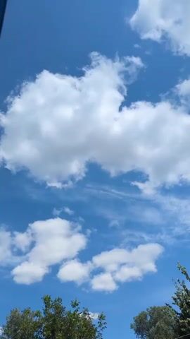 A vertical video shows a bright blue sky with scattered white clouds. In the lower portion of the frame, the tops of green trees are visible. To the left side of the frame, a dark blue object with yellow lettering is partially visible, extending from the top to the bottom of the screen. The camera appears to be tilting upwards, capturing the sky.