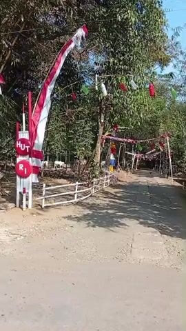 A dirt road lined with trees leads into the distance, adorned with red, white, and green banners and lanterns. The Indonesian flag, red and white, flies from a tall pole on the left side of the road, next to a white fence and sign that reads "HUT RI". On the right side of the road, another pole displays a sign with "KE 81" in a red circle. The sun casts shadows on the road, indicating it is daytime.