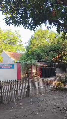 The video shows a street scene with a bamboo fence in the foreground. Behind the fence, there is a white building with red trim, and a blue and white sign. A large tree with green leaves is in the background. To the right, there is a small open-air stall with a person on a motorcycle. The overall environment appears to be a warm, sunny day.