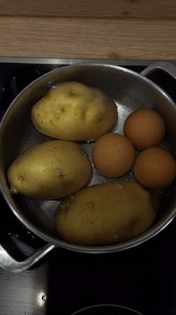Meal preparation observed in Santiago De Compostela kitchen