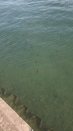 Friedrichshafen, Germany