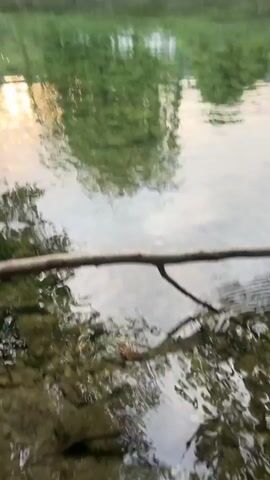 The video shows a close-up view of a shallow, rocky stream. A thin branch extends across the water from left to right. The water is clear, revealing the gravel and stones on the streambed. Ripples and reflections are visible on the surface of the water. In the lower right portion of the frame, a person's hand, adorned with several bracelets, enters the water and appears to scoop something up. The hand is then withdrawn, holding what seems to be a small object. The environment appears natural and outdoors, likely a woodland or forest area, given the presence of the stream and fallen leaves.
