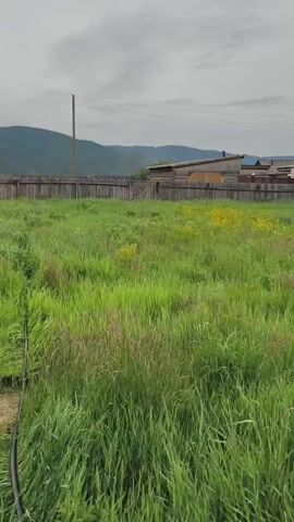The video shows a grassy field with a wooden fence and buildings in the background. The sky is cloudy. The camera pans slowly from left to right. There are no people visible in the video. The overall impression is of a rural or semi-rural setting.