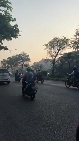 The video shows a street scene with multiple motorcycles and a few cars. The time appears to be early morning or late afternoon due to the soft, hazy light and the angle of the sun. The road is asphalt and seems to be wet, possibly from recent rain or dew. Trees with lush green leaves line the left side of the road, casting shadows. On the right side, there are more trees, some with bare branches, and buildings are visible in the background. Several people are riding motorcycles, most wearing helmets. Some motorcycles have passengers. The motorcycles are moving in the same direction, suggesting traffic. The overall atmosphere is calm and somewhat serene, with the muted colors of the sky and the gentle movement of the vehicles.