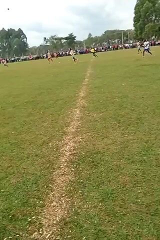 The video shows a soccer game on a grassy field. Numerous players are running around trying to get the ball. On the sidelines is a crowd of spectators. The sky is overcast and the ground is green. Tall trees surround the perimeter of the field.