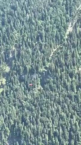The video shows a vast green forest, most likely on a mountainside, seen from above. In the middle of the frame, a paraglider with a red canopy is seen descending amidst the trees. Someone is speaking in the background. The paraglider gradually disappears from view, swallowed by the dense foliage.