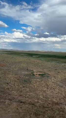 The video shows a wide shot of a grassy field under a cloudy sky. Several cows are visible grazing in the distance. The terrain is mostly flat, with some rolling hills in the background. The sky is filled with large, white clouds interspersed with patches of blue. The lighting suggests it is daytime, possibly late afternoon. The camera appears to be moving slightly, as indicated by the subtle changes in perspective.
