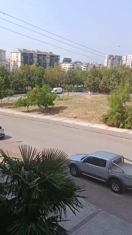 A grey pickup truck drives along a paved road in front of a park with trees and buildings in the background. The truck passes by a large palm tree in the foreground. The camera pans upwards, revealing a clear blue sky with a few clouds and more buildings. The video then shifts to a view of an enclosed balcony with chairs, a rug, and a trash can.