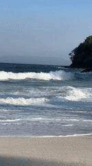 Relaxed morning on a Bali beach, waves, boats, and a dog
