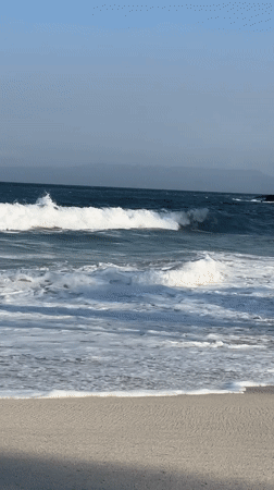 Relaxed morning on a Bali beach, waves, boats, and a dog